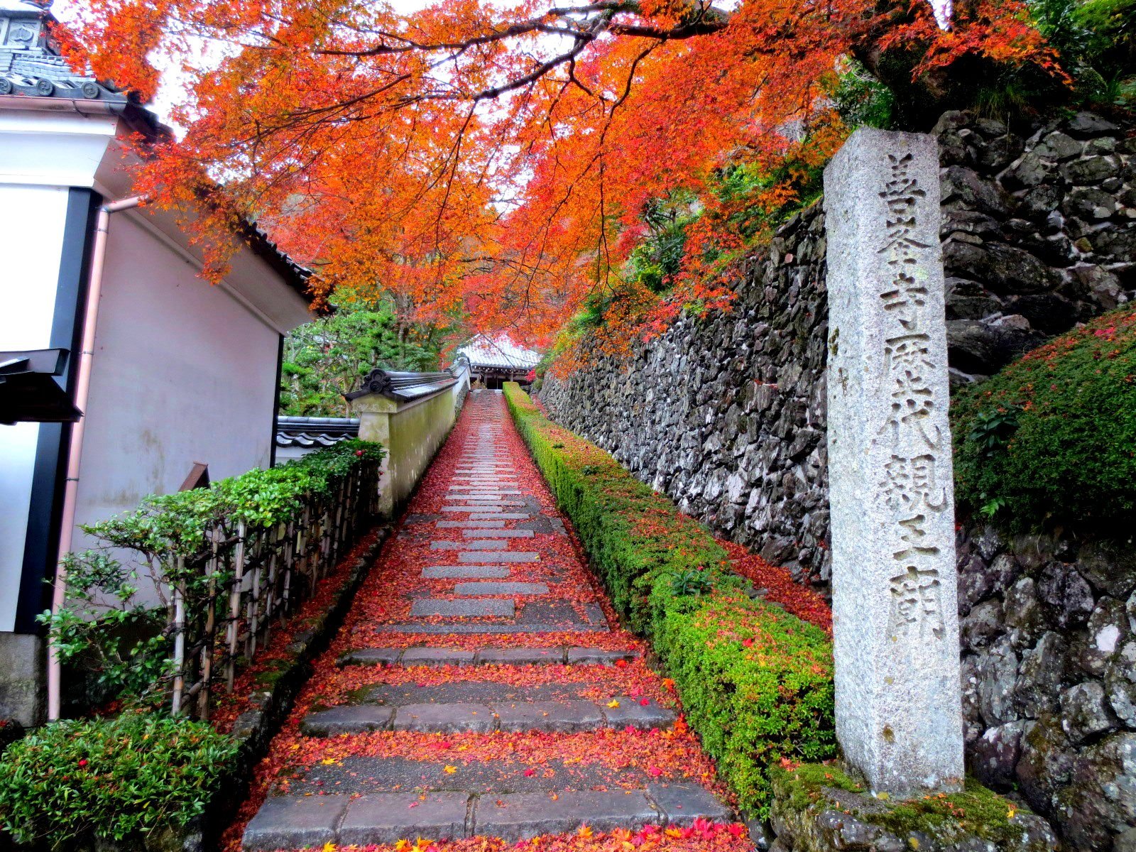 🏯 니시야마 요시미네데라 이미지 1